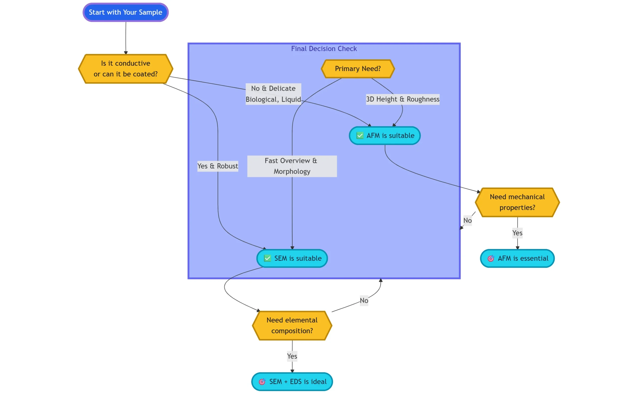AFM vs SEM: Flowchart for choosing between AFM and SEM based on sample conductivity and research goals