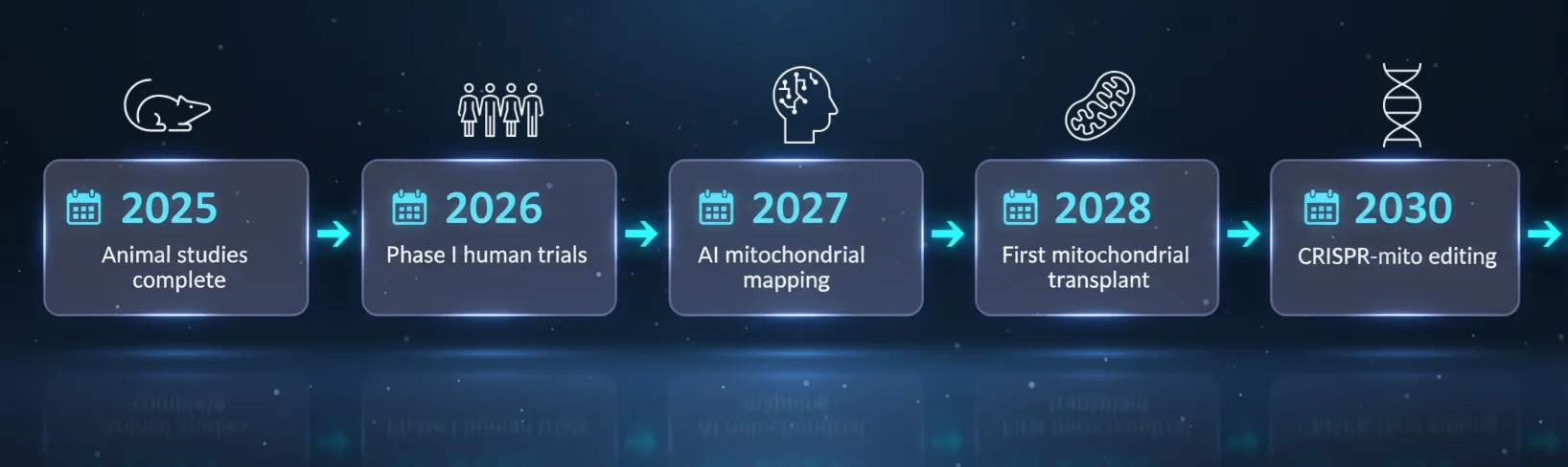 Mitochondrial Memory Loss cure - Future Timeline (2025-2030)